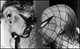 Stan Lee and Spiderman