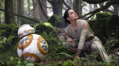 starwars7-rey-bosque