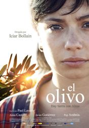 elolivo-poster