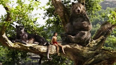 thejunglebook-arbol