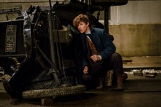 fantasticbeasts-newt-escondido