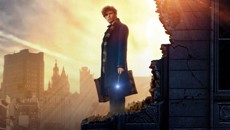 fantasticbeasts-newt-tejado