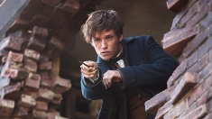 fantasticbeasts-newt-varita