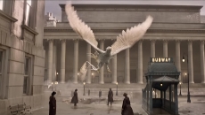 fantasticbeasts-thunderbird-liberado